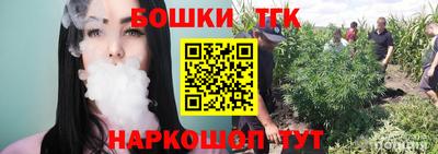 a pvp Новодвинск