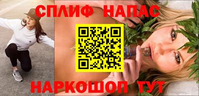 a pvp Новодвинск