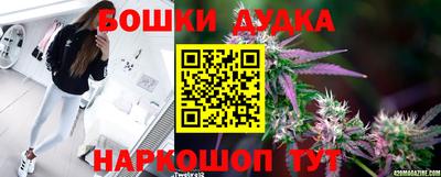 a pvp Новодвинск
