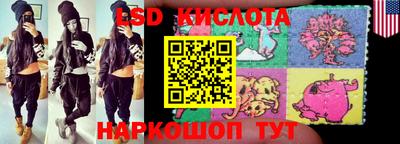 a pvp Новодвинск